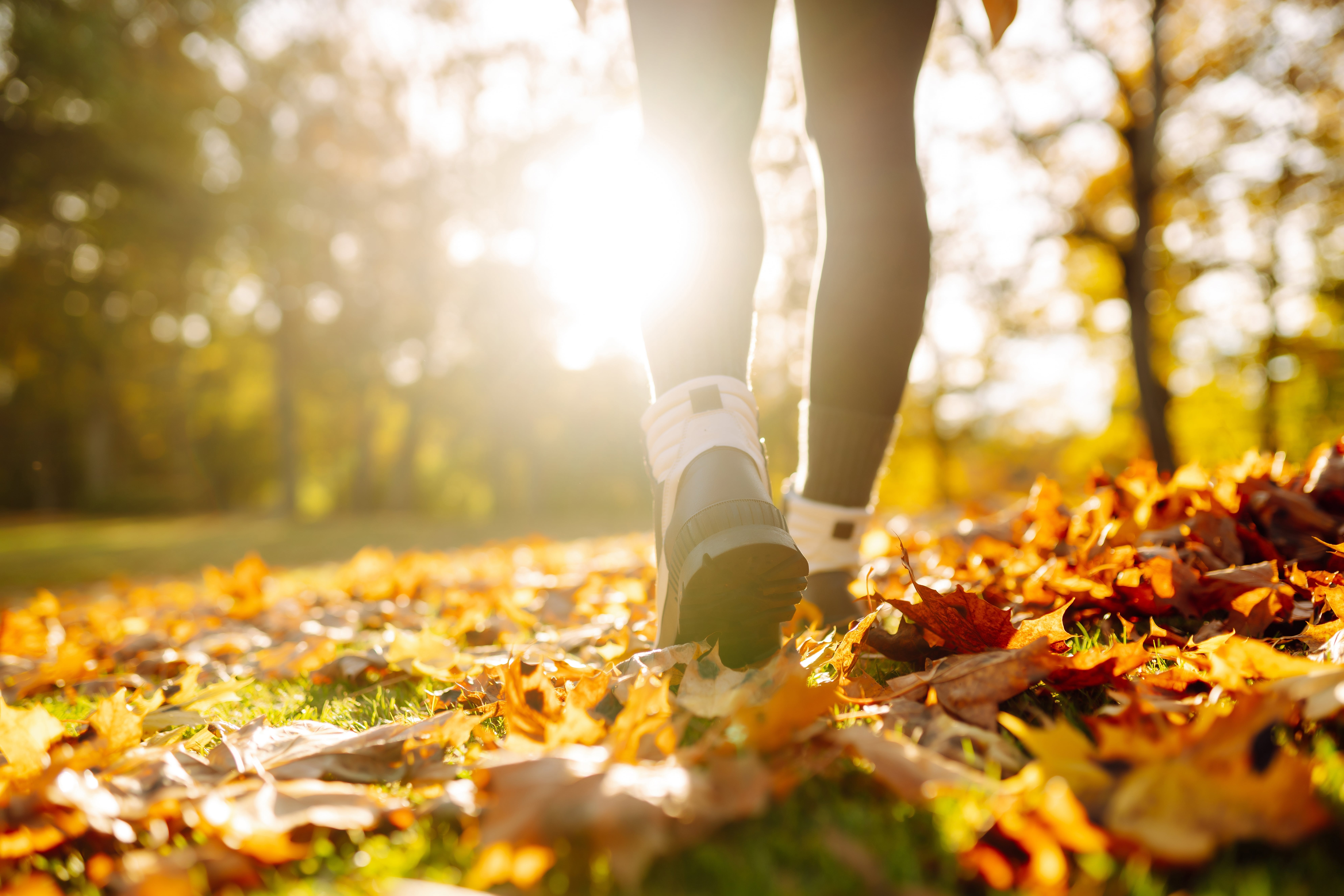 Die 10 schönsten Herbstspaziergänge in München – Empfehlungen & Geheimtipps