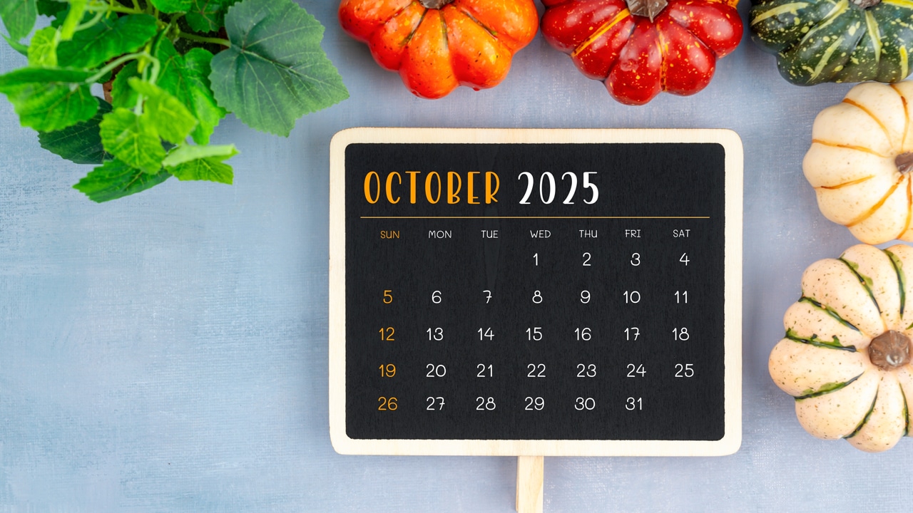 Was sich im Oktober 2025 alles ändert – Überweisungen, ePA & mehr