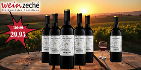 6 Flaschen Torre Il Cerreto Primitivo für nur 29,95 €!