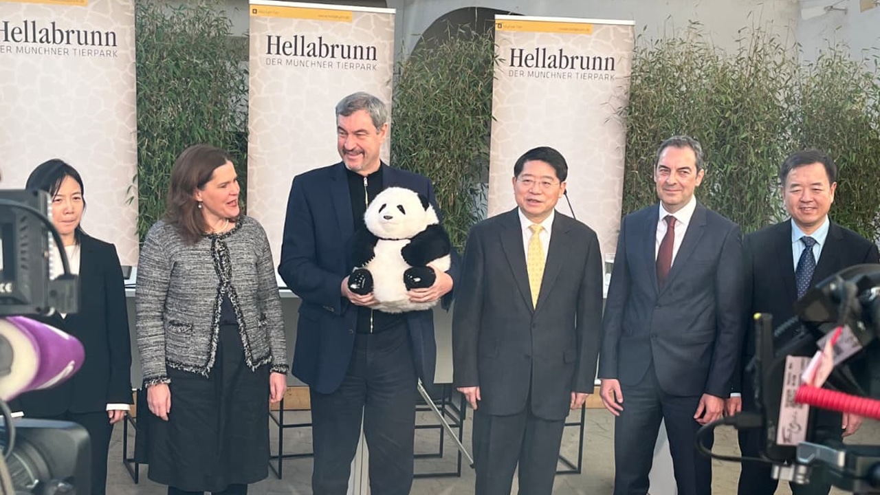 Neubau im Tierpark Hellabrunn: Pandazuwachs aus China