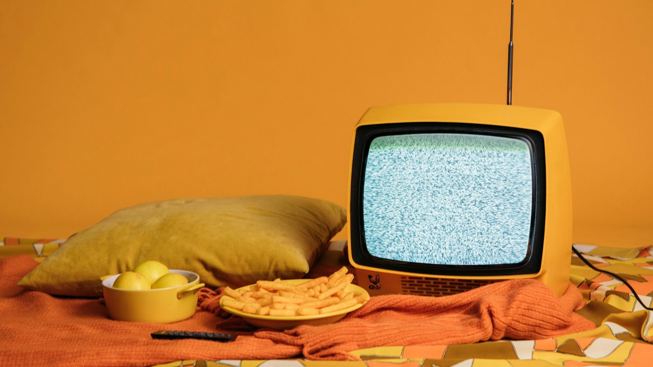 Dschungelcamp, Bachelor, Reality Queens & Co.: Dein Trash-TV Kalender 2026