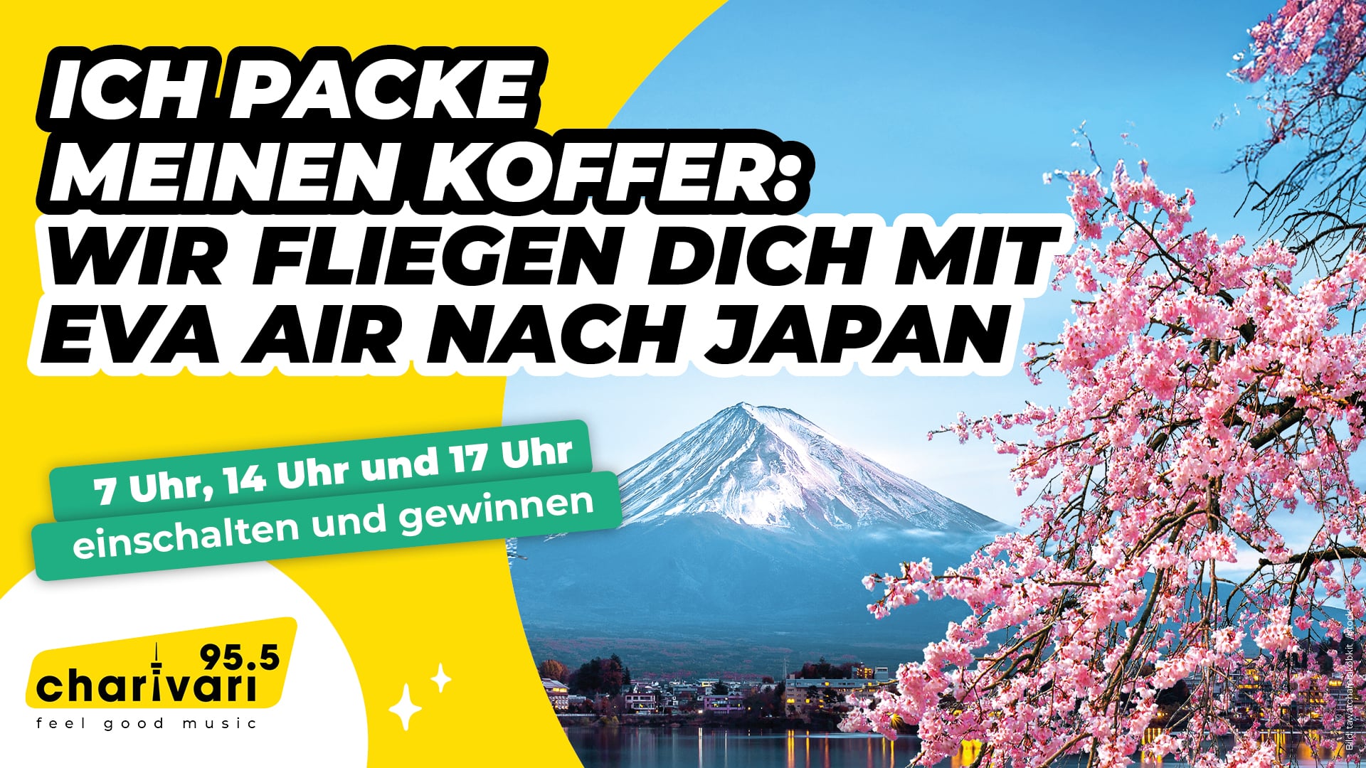 Ich packe meinen Koffer: Wir fliegen euch mit EVA AIR nach Japan
