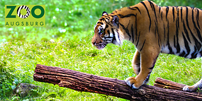 Familiensparkarte (6 Kinder + 4 Erwachsene) zum halben Preis!