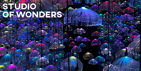 Mehr als 20 magische Räume – Eintritt zum halben Preis!