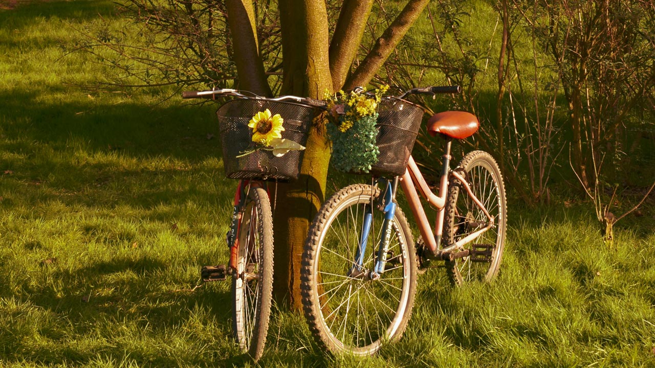 Das Radl fit für den Frühling machen