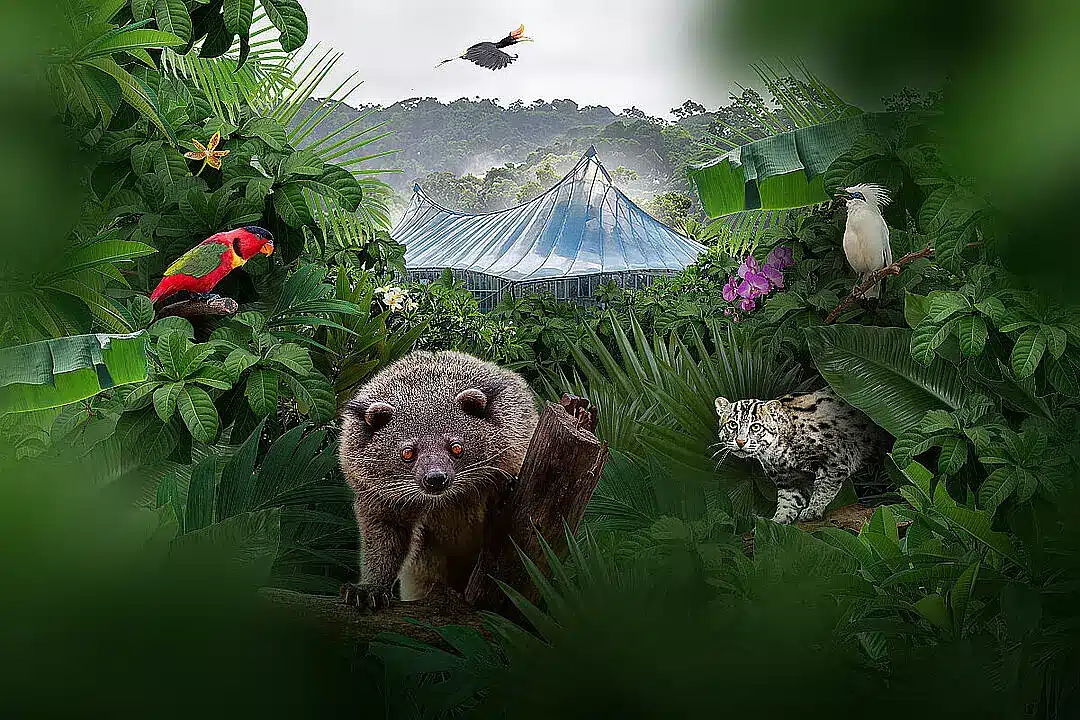 Tierpark Hellabrunn eröffnet Dschungelwelt wieder