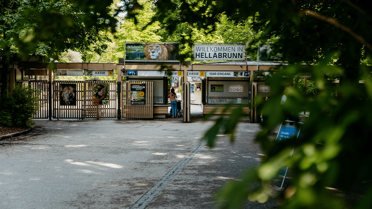 115 Jahre Tierpark Hellabrunn: Jubiläum mit Entenrennen und Familienprogramm