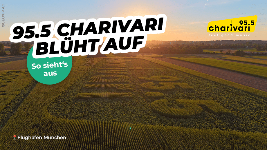 95.5 Charivari blüht auf: Unser Logo aus Millionen Sonnenblumen am Flughafen