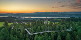 Kindereintritt für die Waldwelt Skywalk Allgäu zum halben Preis!